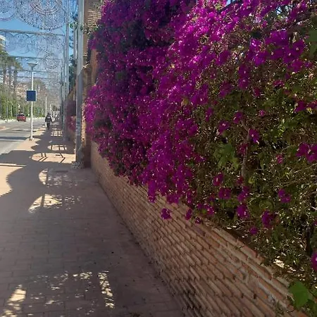 Bonito Piso En Marinador Daire